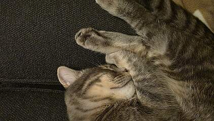 20251115_193218 null