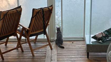 20251118_122921 null