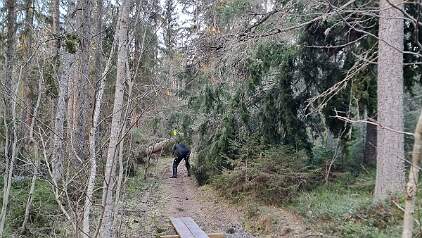 20251231_105218 null