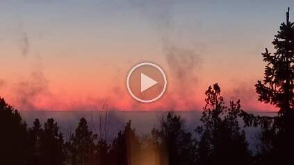 20260105_080236 null