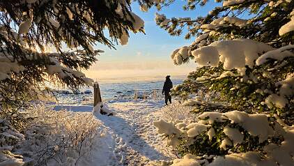 20260105_114544 null