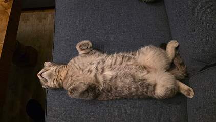 20260405_211052 null