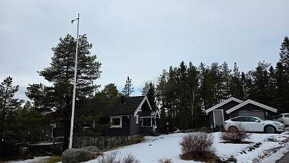 20260406_115045 null