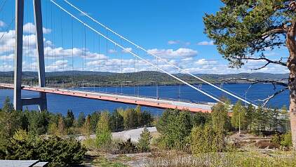 20260505_113646 null