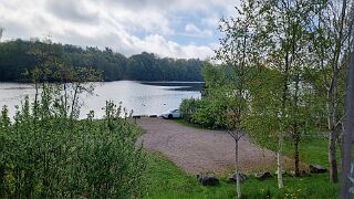 20260516_081727 null