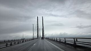 20260516_112902 null