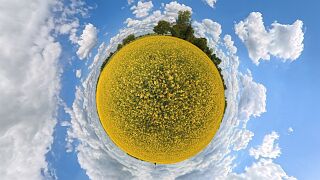 20260517_123529_011 null
