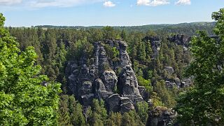 20260518_103332 null