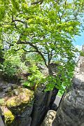 20260518_104846 null