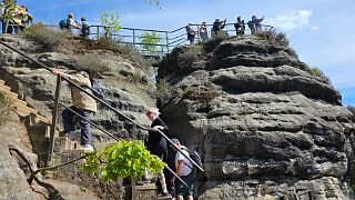20260518_110616 null