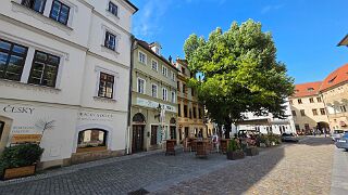 20260519_094016 null