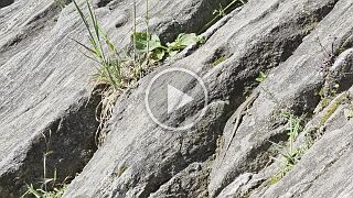 20260521_101701 null