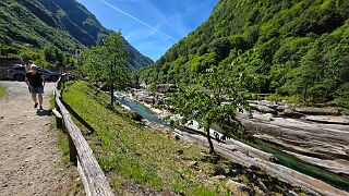 20260521_104228 null