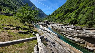 20260521_104250 null