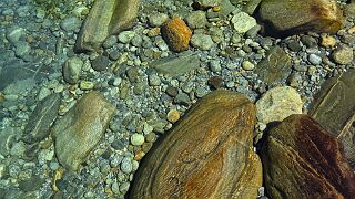 20260521_105357 null