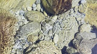 20260521_105426 null