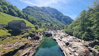 20260521_110135 null