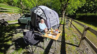 20260522_091636 null