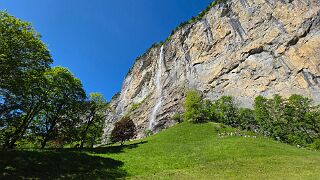 20260522_101405 null