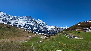 20260522_111134 null