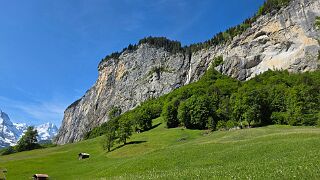 20260523_101308 null
