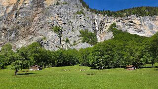 20260523_101855 null