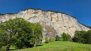 20260524_085523 null