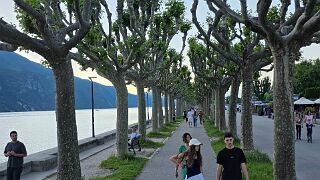 20260524_195822 null