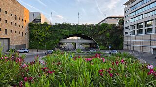 20260525_203153 null