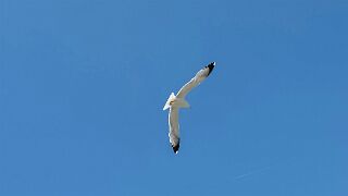 20260526_130456(0) null