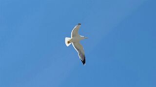 20260526_130456 null