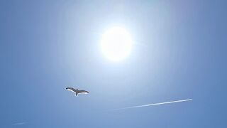 20260526_130503 null