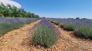 20260527_153021 null