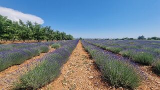 20260527_153032 null