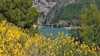 20260527_161313 null