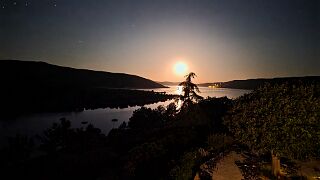 20260528_032625 null