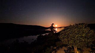 20260528_034350 null