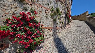 20260529_134039 null