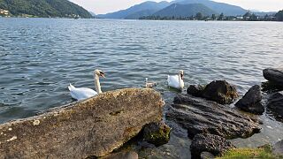 20260530_185247 null