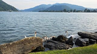20260530_185332 null