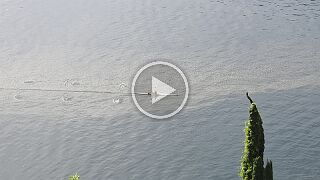 20260531_100711 null