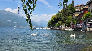 20260531_131955 null