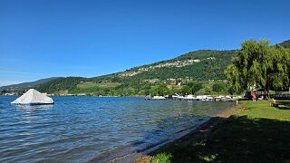 20260601_090451 null