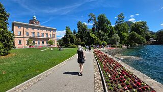 20260601_113237 null