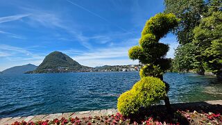 20260601_113514 null