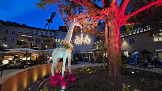 20260601_212709 null