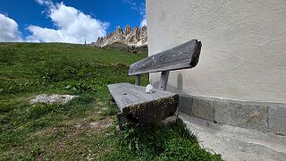 20260603_142536 null