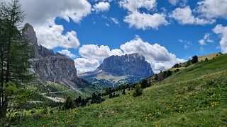 20260603_142541 null