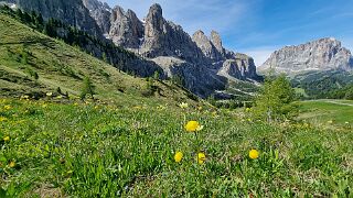 20260604_102409 null