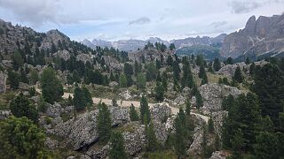 20260604_134131 null